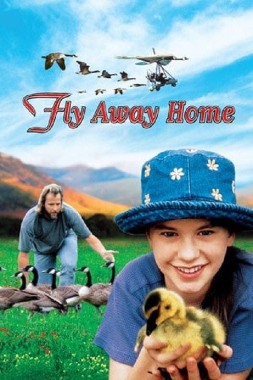 Fly Away Home (1996) เพื่อนรักสุดขอบฟ้า